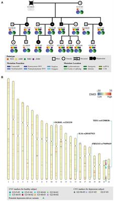 OGDHL Variant rs2293239: A Potential Genetic Driver of Chinese Familial Depressive Disorder